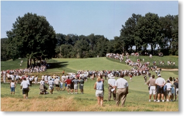 The Fans at Oakmont